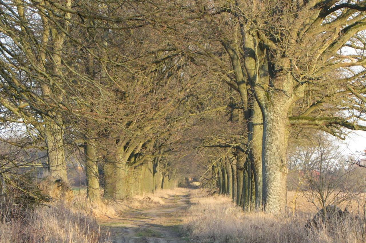 Radlerzimmer Strasen Buitenkant foto
